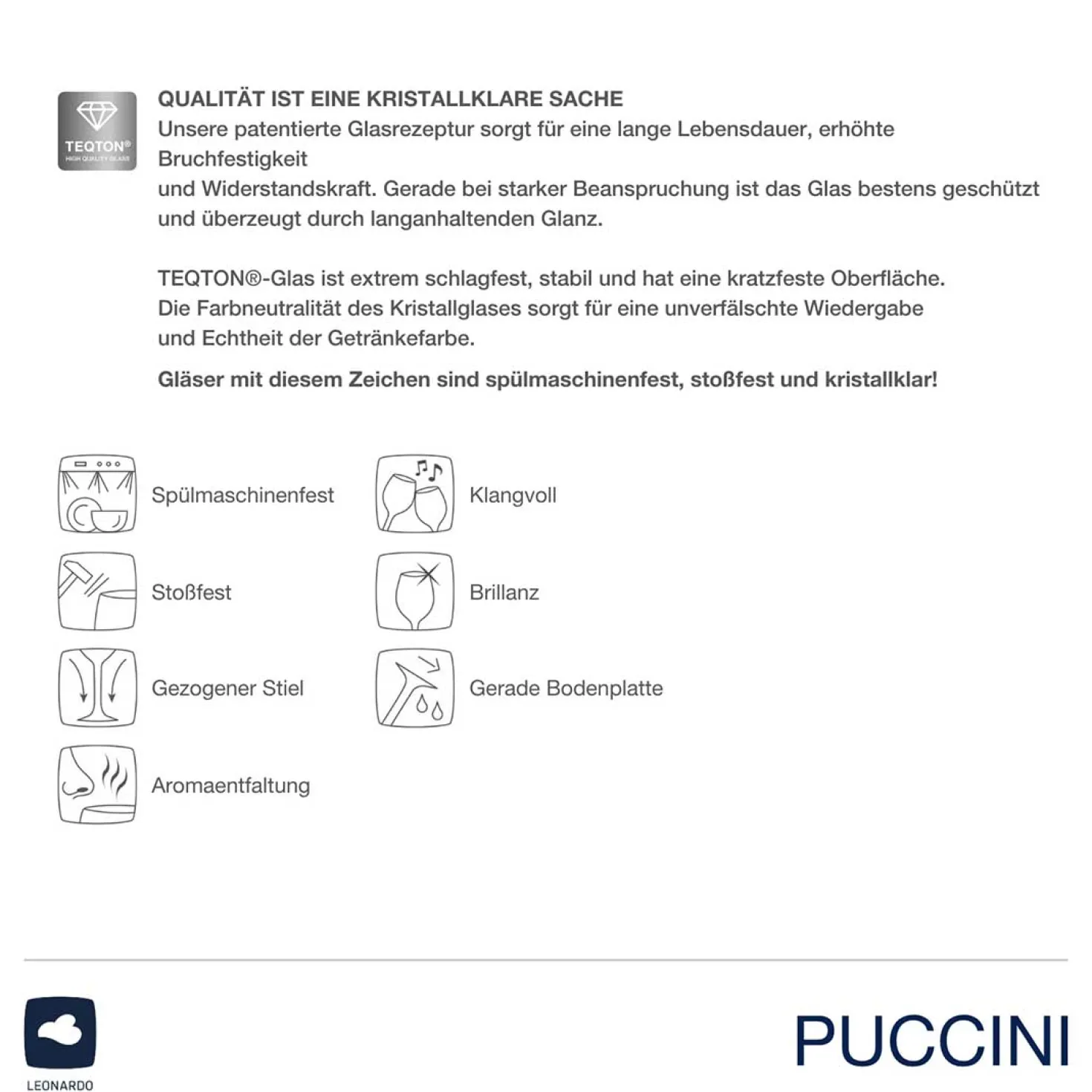 Champagnerschale PUCCINI 350 ml 6er-Set