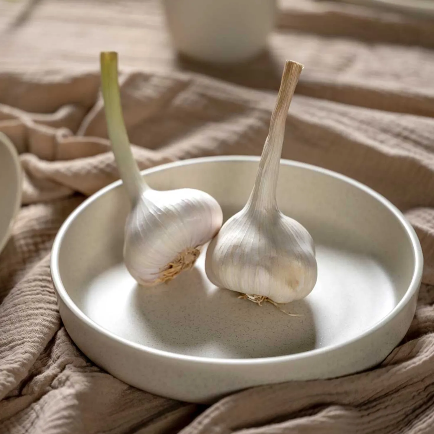 Keramikteller ROMA 20 cm creme tief 6er-Set