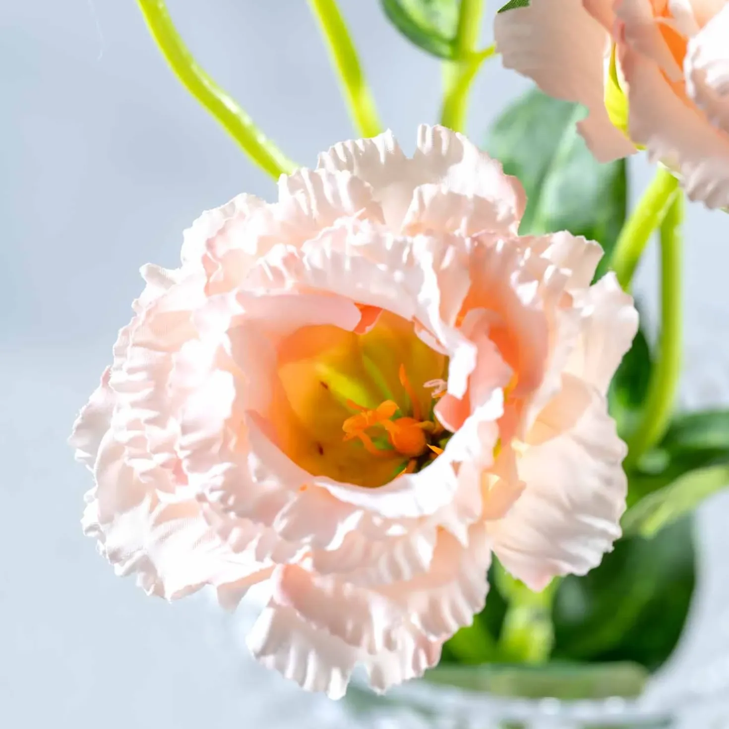 Lysianthus FIORE 78 cm apricot