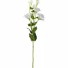 Lysianthus FIORE 78 cm weiß