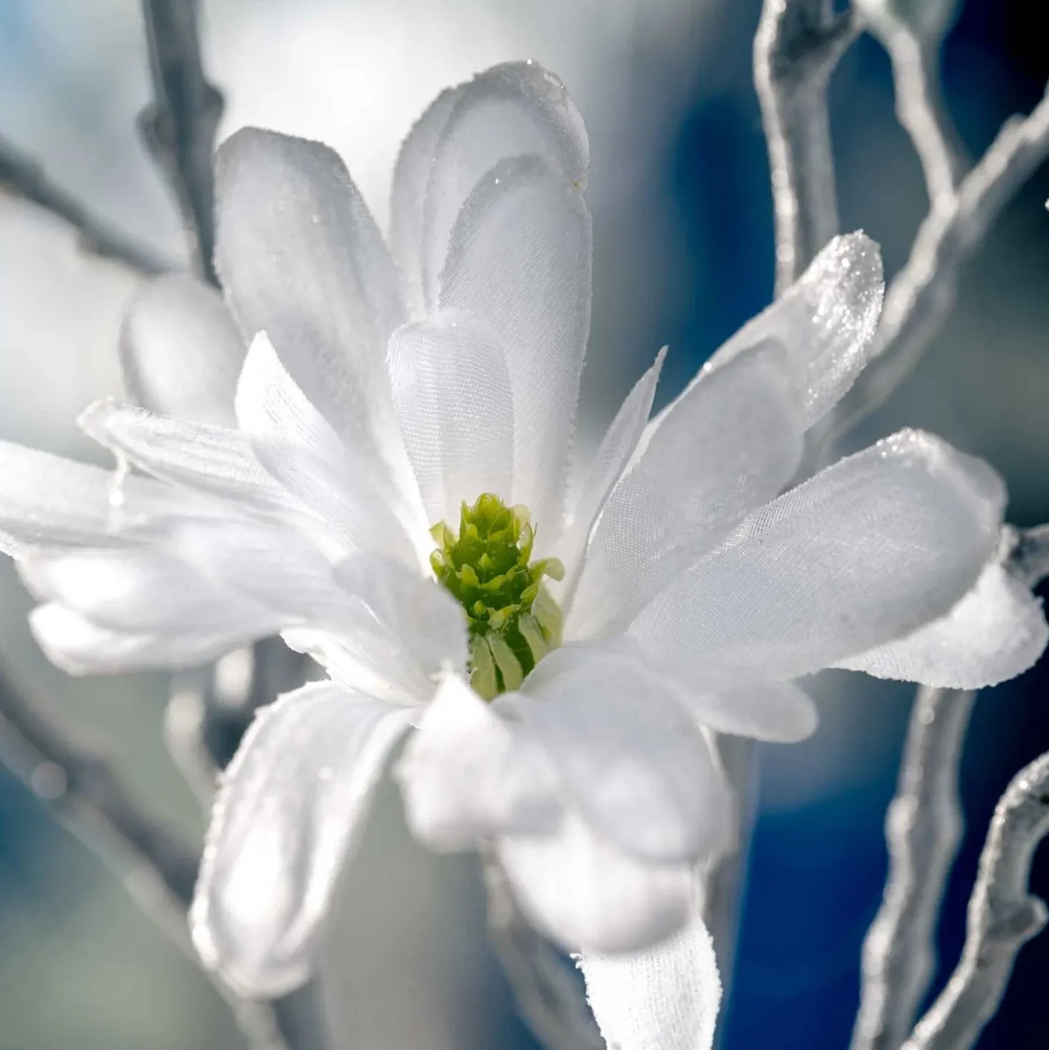 Magnolie 85cm weiß PALAZZO