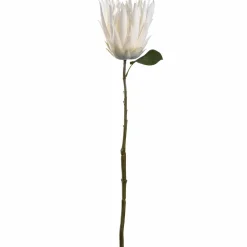 Prothea FIORE 72 cm weiß
