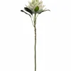 Prothea FIORE 56 cm weiß