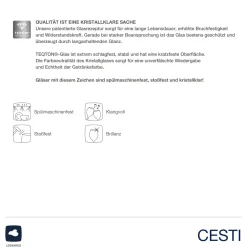 Rotweinglas CESTI 500 ml 6er-Set + Poliertuch