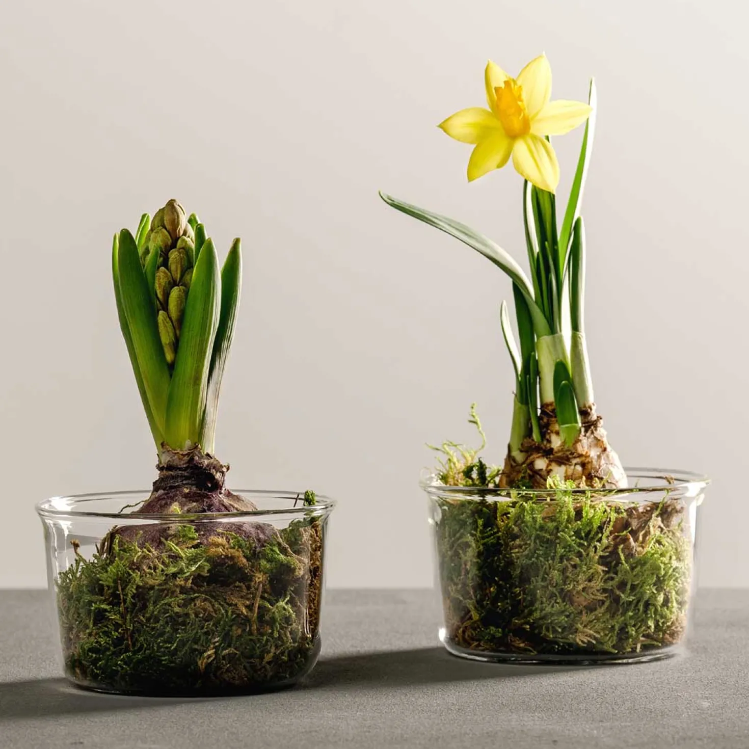 Schale VETRO 9 cm 2er-Set