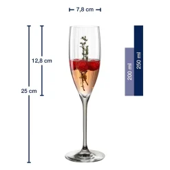 Sektglas POESIA 250 ml grau 6er-Set